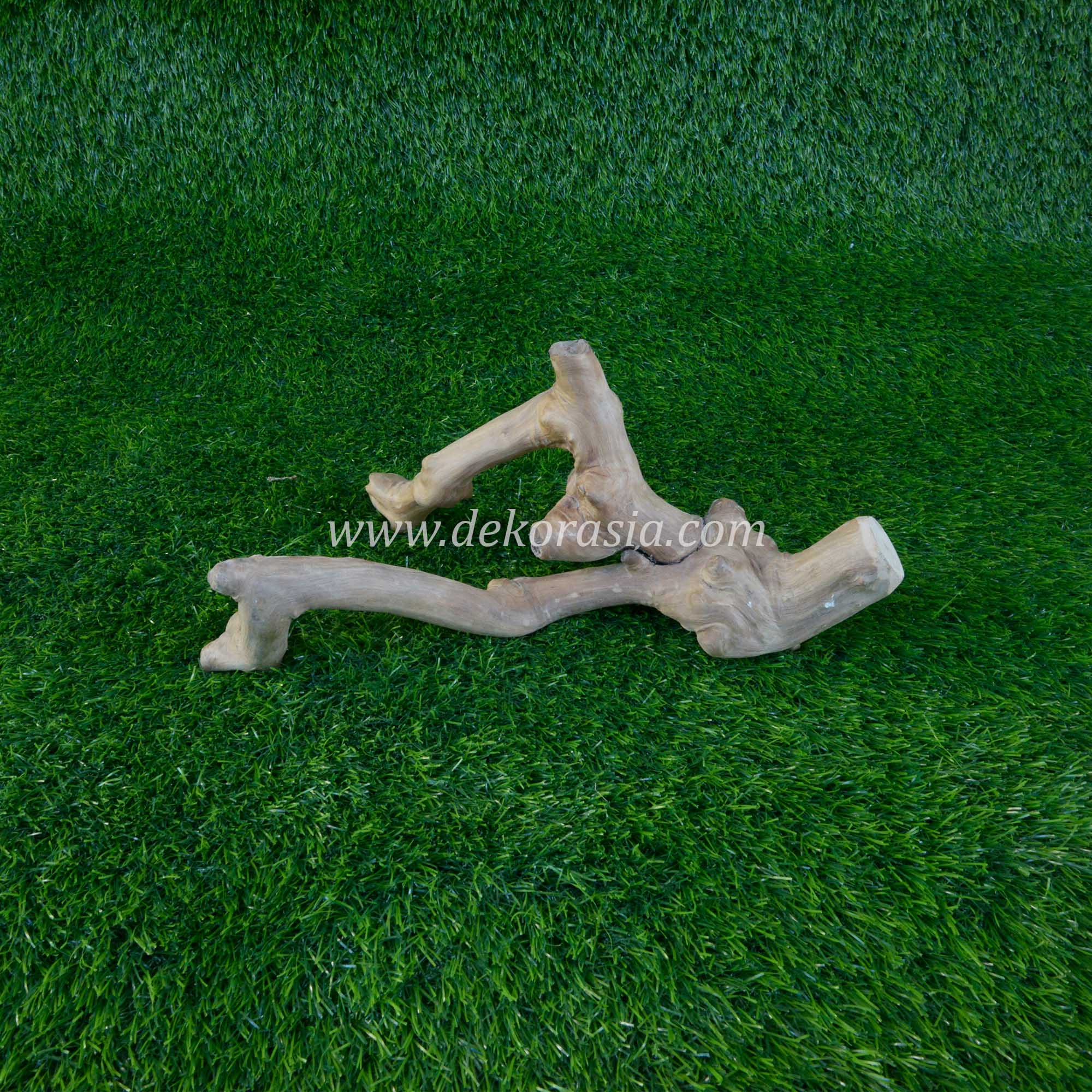 Coffee Root Wood (Size S) for Jungle Gym Reptile, Vivariums Reptile, Aquarium, Aquascaping, Coffee Root Decor Craft